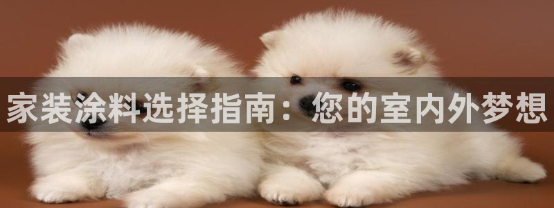 和记港口：家装涂料选择指南：您的室内外梦想