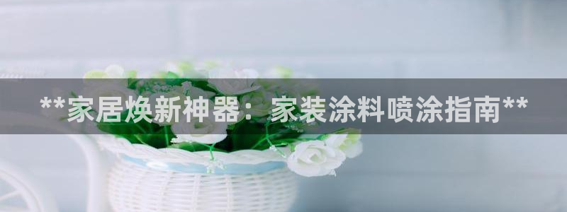 和记官方网址：**家居焕新神器：家装涂料喷涂指南**