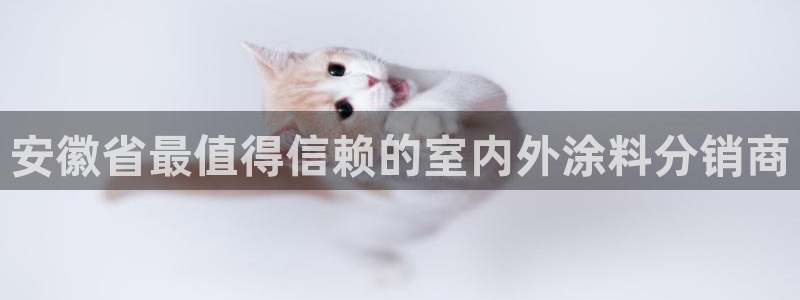 和记(福建)商贸有限公司：安徽省最值得信赖的室内外涂料分销商