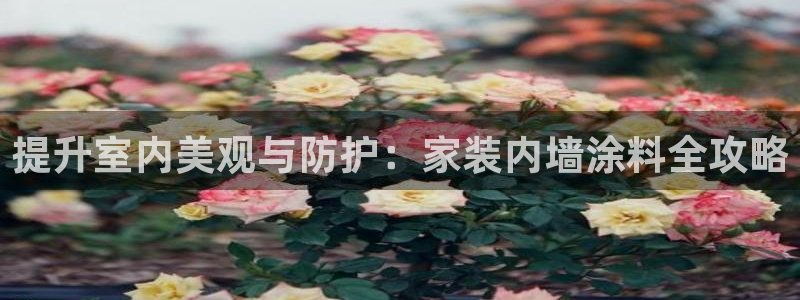 和记国际开户：提升室内美观与防护：家装内墙涂料全攻略