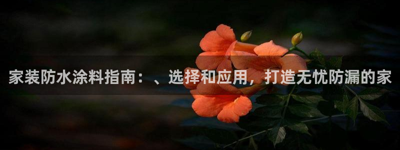 和记 中国首页：家装防水涂料指南：、选择和应用，打造无忧防漏的家