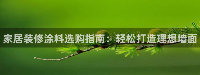 和记 官网：家居装修涂料选购指南：轻松打造理想墙面