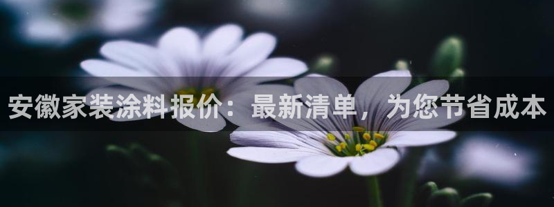 和记app官网：安徽家装涂料报价：最新清单，为您节省成本