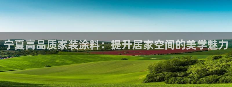 和记平台登陆：宁夏高品质家装涂料：提升居家空间的美学魅力