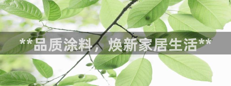 和记国际：**品质涂料，焕新家居生活**