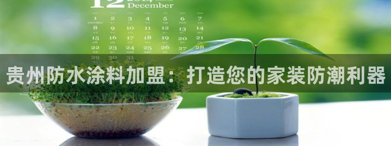 深圳和记科技有限公司：贵州防水涂料加盟：打造您的家装防潮利器