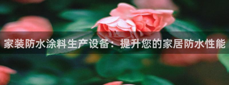 和记国际官网官网：家装防水涂料生产设备：提升您的家居防水性能