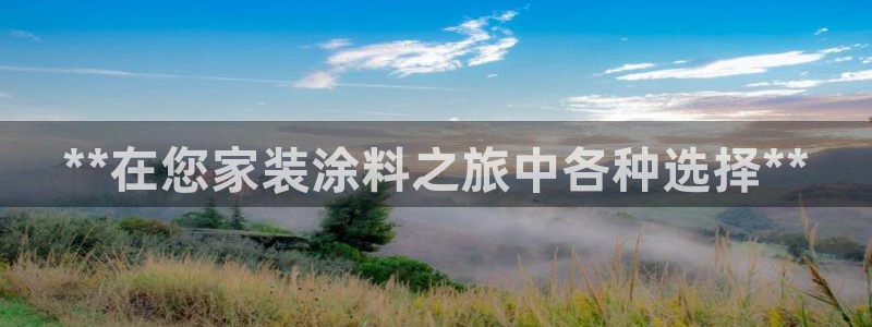 和记平台：**在您家装涂料之旅中各种选择**