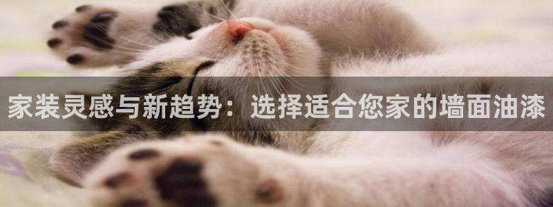 和记paging：家装灵感与新趋势：选择适合您家的墙面油漆