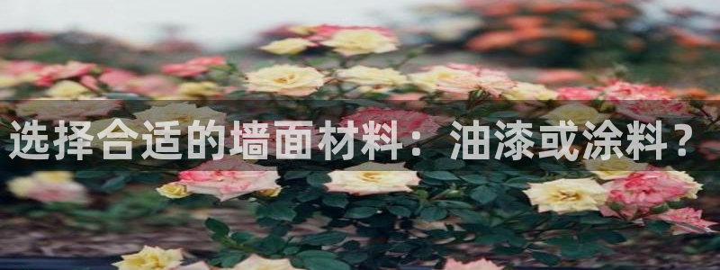 和记平台怎么样：选择合适的墙面材料：油漆或涂料？