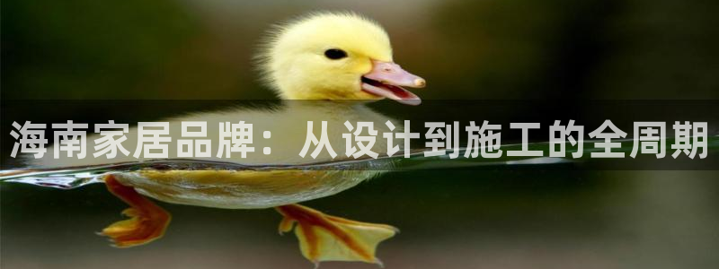 和记平台登录：海南家居品牌：从设计到施工的全周期