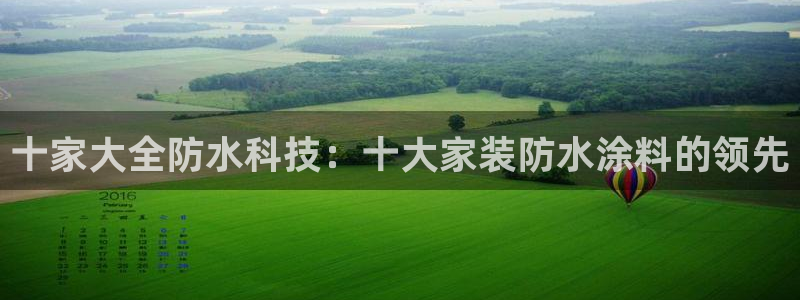 江苏和记数码科技有限公司：十家大全防水科技：十大家装防水涂料的领先
