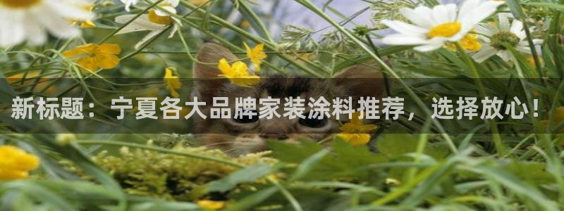 和记ag旗舰厅：新标题：宁夏各大品牌家装涂料推荐，选择放心！