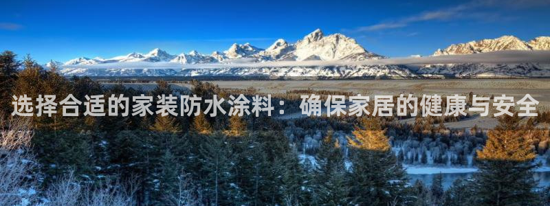 和记港口：选择合适的家装防水涂料：确保家居的健康与安全