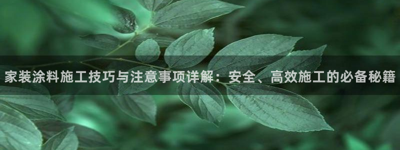 和记广告女主角：家装涂料施工技巧与注意事项详解：安全、高效施