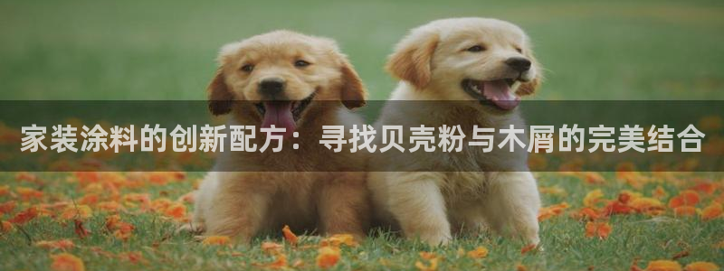 和记国际听
