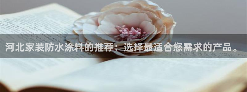 和记ag旗舰国际：河北家装防水涂料的推荐：选择最适合您需求的
