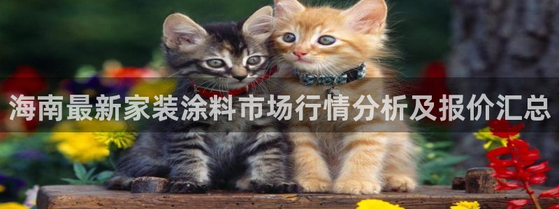 和记app官网：海南最新家装涂料市场行情分析及报价汇总