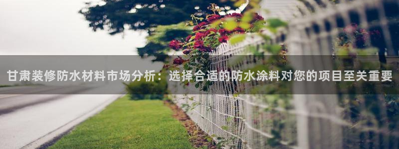 和记国际开户网站：甘肃装修防水材料市场分析：选择合适的防水涂料对您的项目至关重要