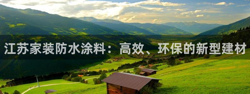 和记广告女主角：江苏家装防水涂料：高效、环保的新型建材