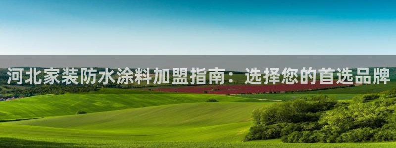 和记app官网：河北家装防水涂料加盟指南：选择您的首选品牌
