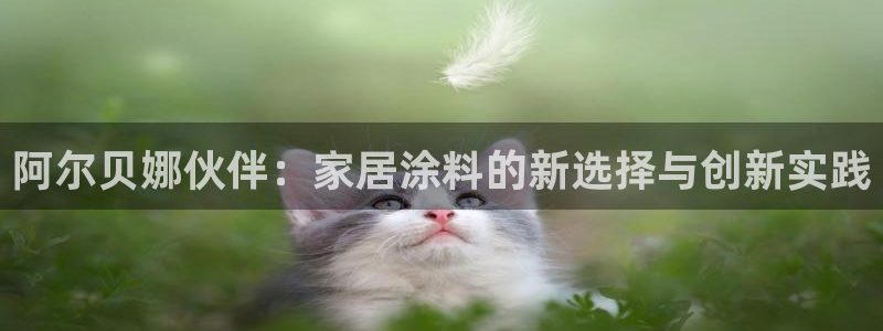 深圳和记科技有限公司：阿尔贝娜伙伴：家居涂料的新选择与创新实践