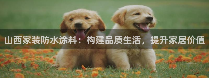 和记国际开户网站：山西家装防水涂料：构建品质生活，提升家居价值
