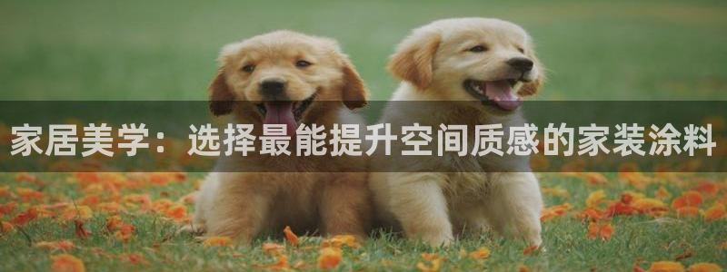 和记国际电讯市值：家居美学：选择最能提升空间质感的家装涂料