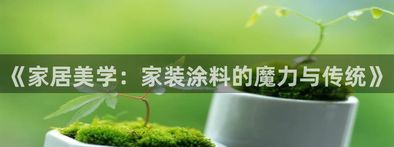 和记国际官网官网：《家居美学：家装涂料的魔力与传统》