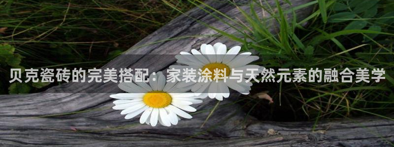 和记官方直营注册导航