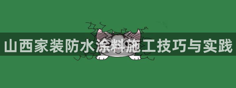 和记 首页：山西家装防水涂料施工技巧与实践