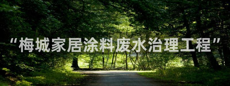 和记电业集团
