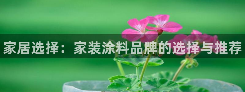 和记h88游戏