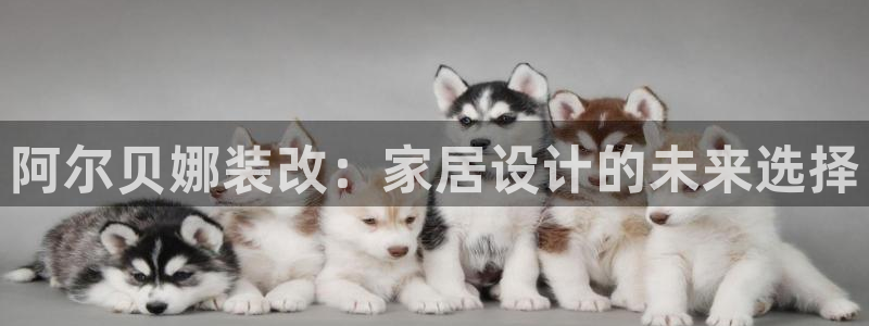 和记国际官网官网