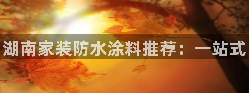 和记5g电讯
