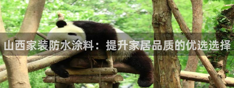和记官方