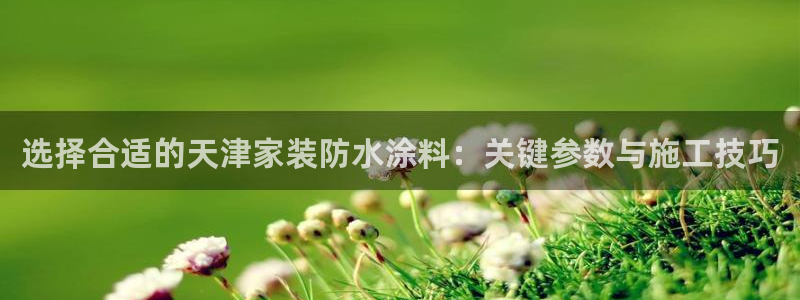 和记平台官方网：选择合适的天津家装防水涂料：关键参数与施工技巧