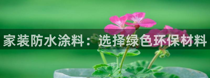 和记ag旗舰厅app