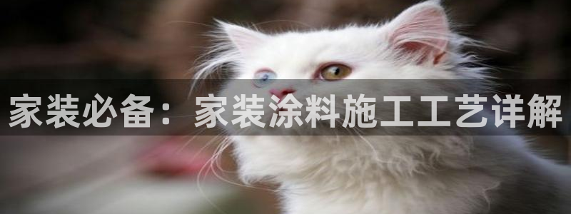 和记h88游戏：家装必备：家装涂料施工工艺详解