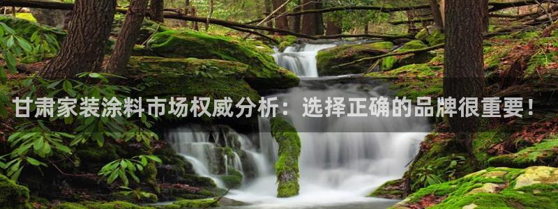 和记 官网：甘肃家装涂料市场权威分析：选择正确的品牌很重要！