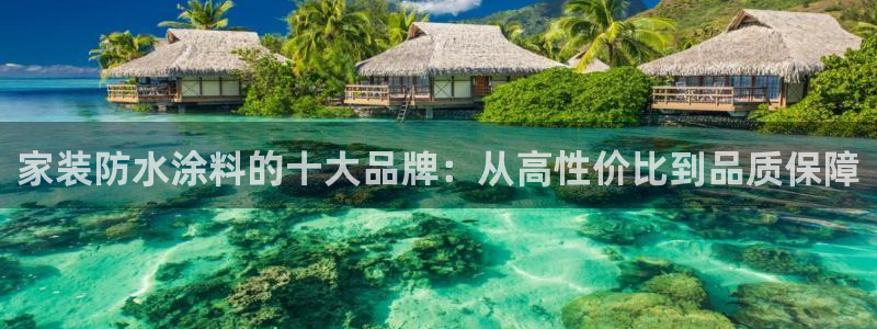 和记ag登录：家装防水涂料的十大品牌：从高性价比到品质保障