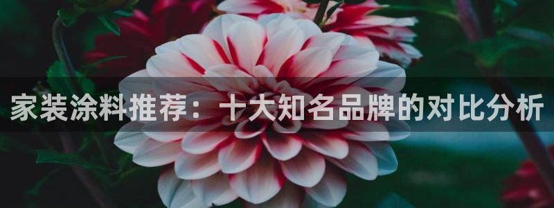官方和记国际平台登录