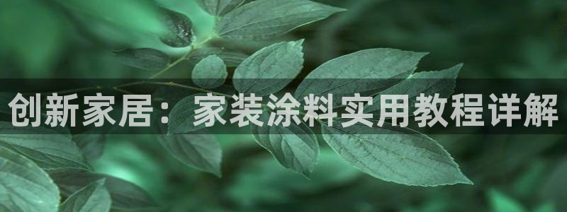 深圳和记科技有限公司：创新家居：家装涂料实用教程详解