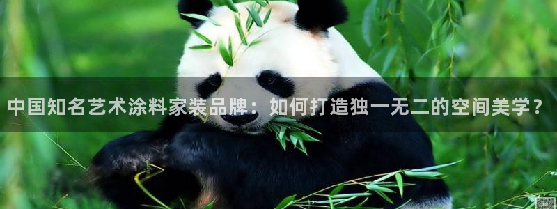 和记平台官方网：中国知名艺术涂料家装品牌：如何打造独一无二的空间美学？