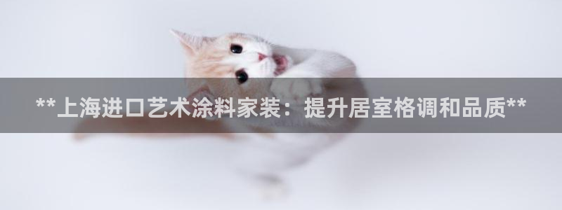 和记官网首页：**上海进口艺术涂料家装：提升居室格调和品质**