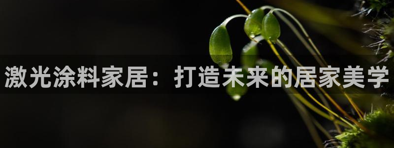 和记 首页：激光涂料家居：打造未来的居家美学