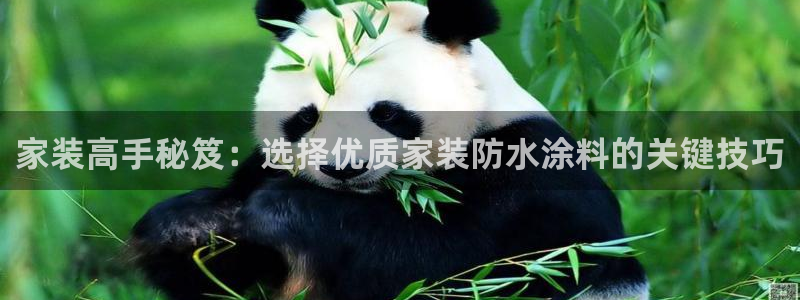 和记国际听：家装高手秘笈：选择优质家装防水涂料的关键技巧