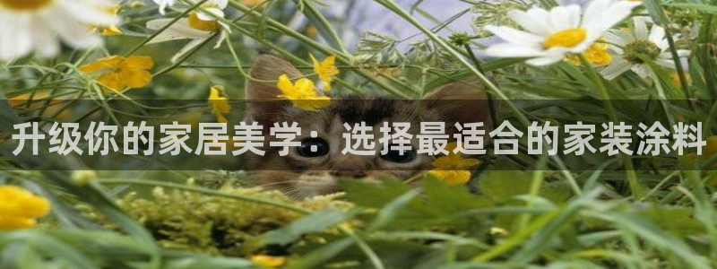 和记hj：升级你的家居美学：选择最适合的家装涂料