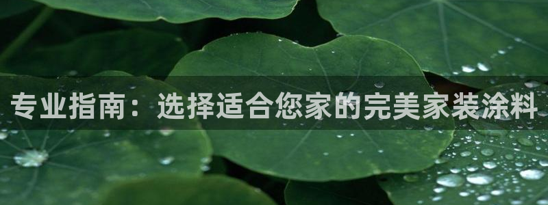 和记ag旗舰厅：专业指南：选择适合您家的完美家装涂料