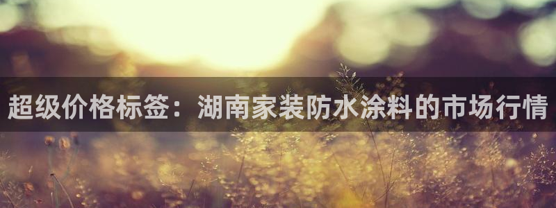 和记网页：超级价格标签：湖南家装防水涂料的市场行情